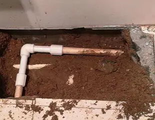 朔城测漏水哪家好