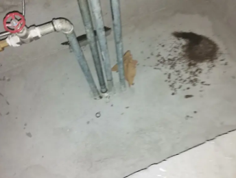 朔城卫生间测漏水价格明细