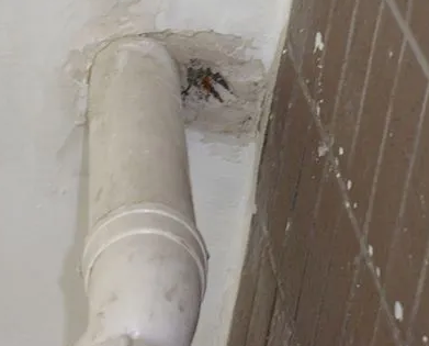 朔城漏水检测哪家好